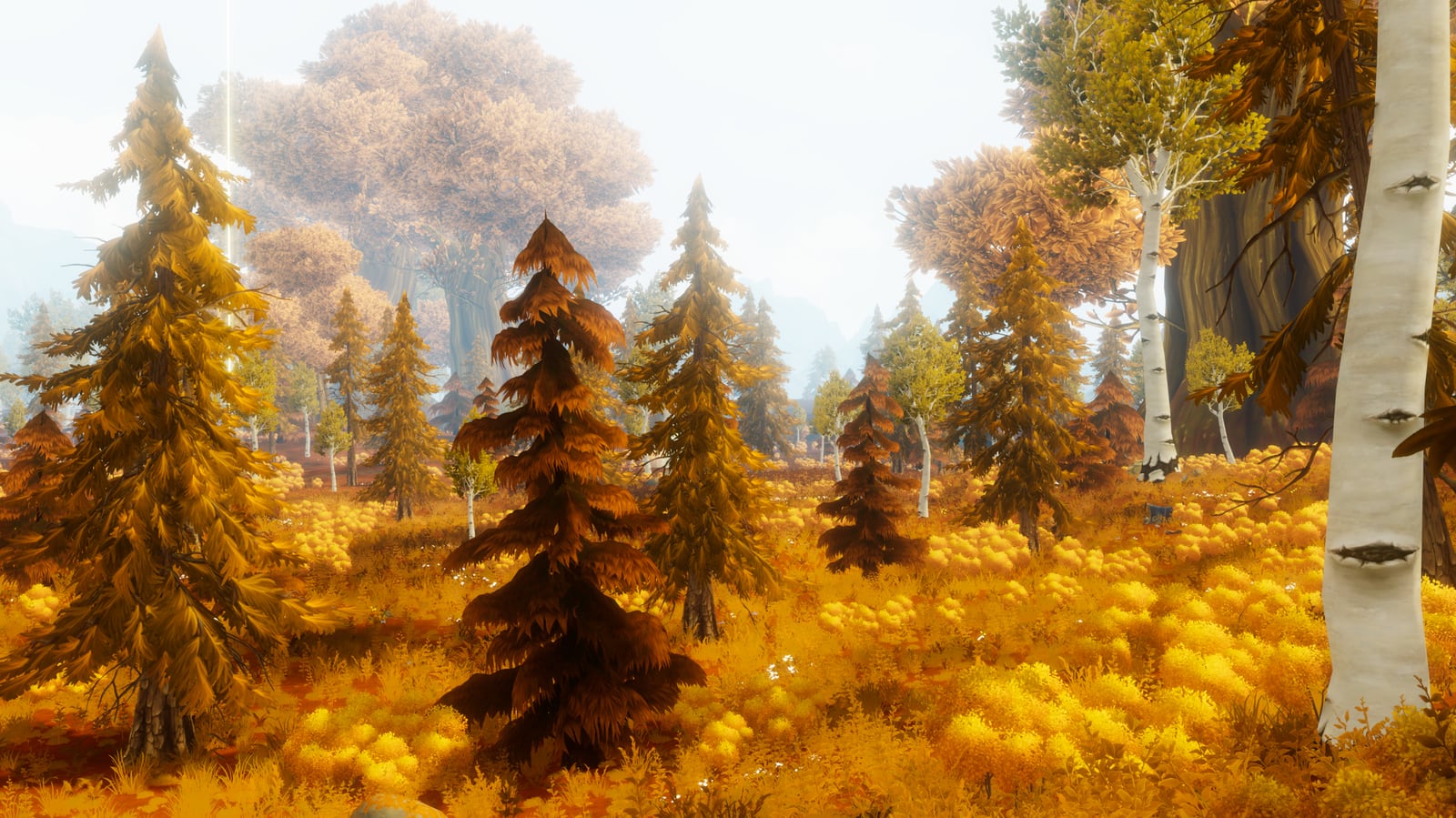 An autumn forest biome with gold grass, birch trees, and warm light in Where Giants Fall